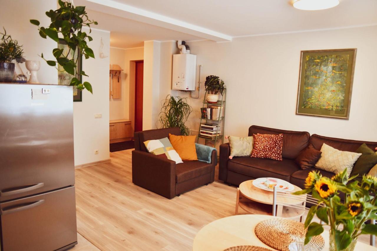 Central Park Apartment Birstonas Luaran gambar