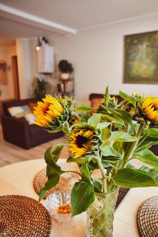 Central Park Apartment Birstonas Luaran gambar